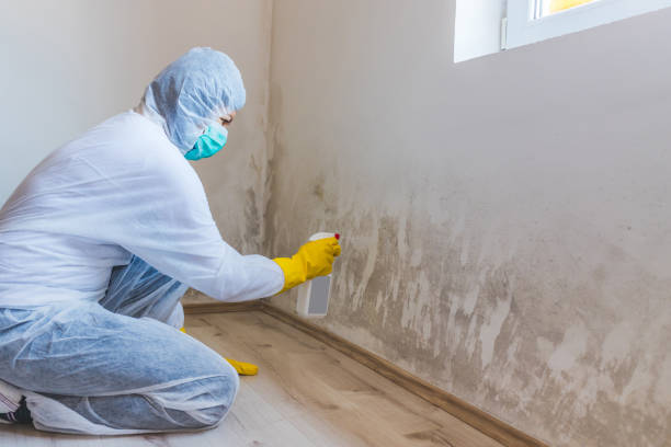 Best Biohazard Mold Removal  in Rosenberg, TX