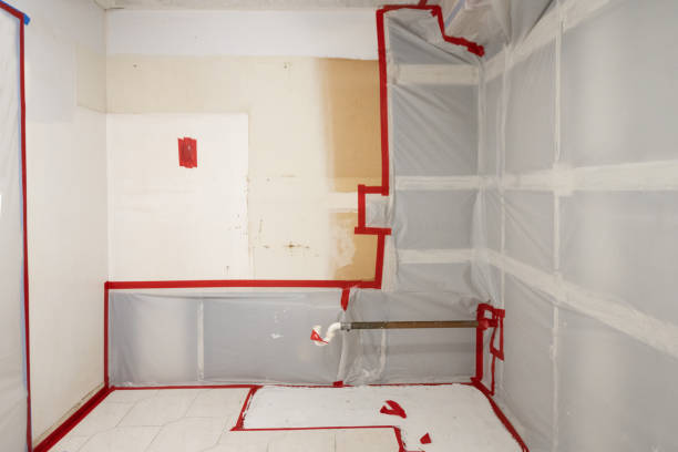 Best Environmental Consulting for Mold Prevention  in Rosenberg, TX