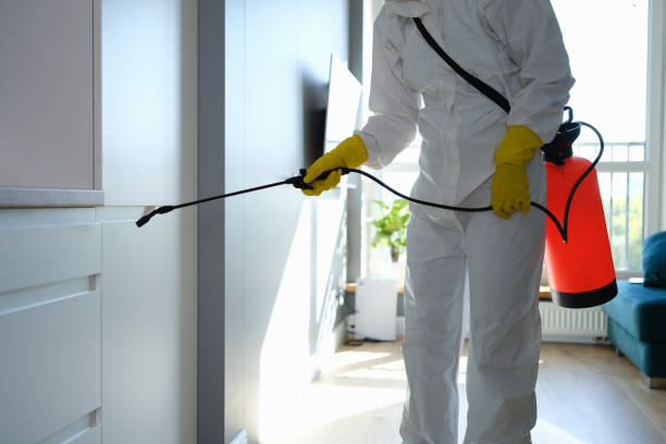 Best Mold Odor Removal Services  in Rosenberg, TX