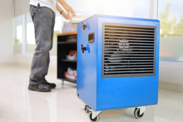 Best Mold Documentation for Insurance Claims  in Rosenberg, TX
