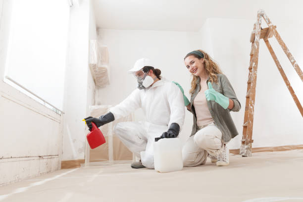 Mold Remediation for Vacation Homes in Rosenberg, TX