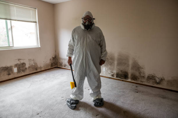 Best Mold Damage Restoration  in Rosenberg, TX